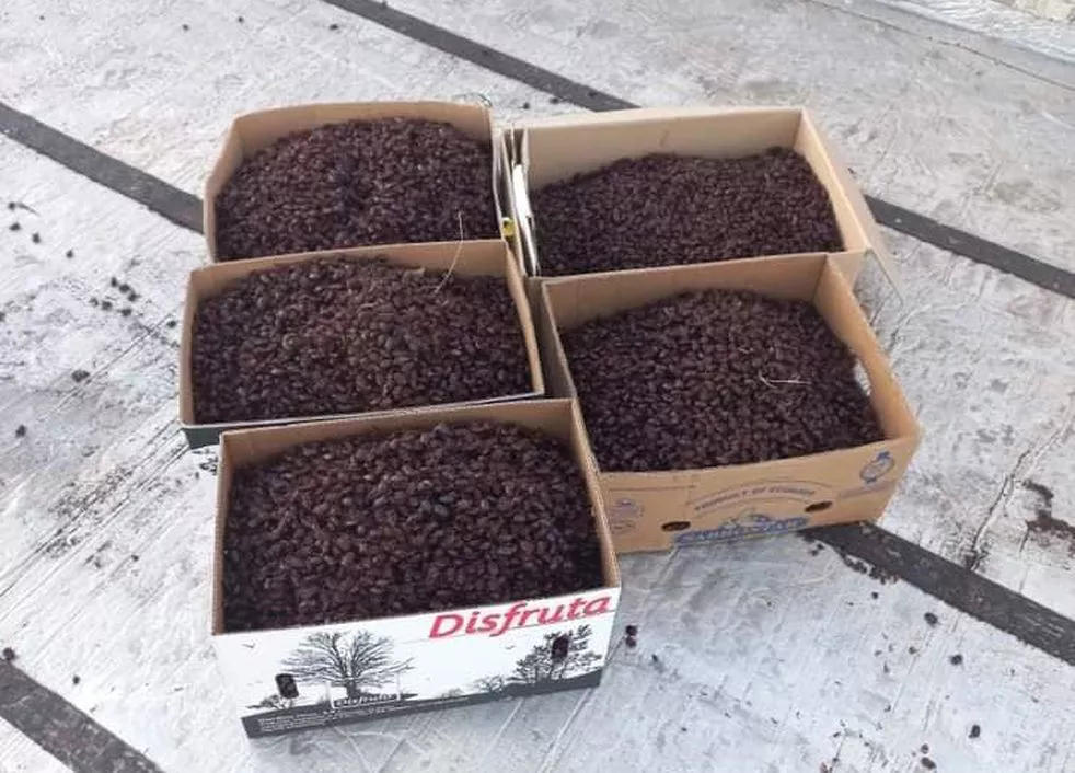 YLZQFYUABFHA3CZHIIB2KE6Z4E