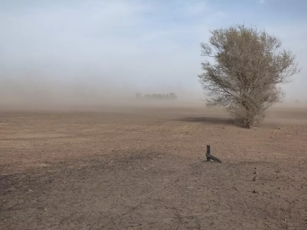 2802688_gobernador-04.-