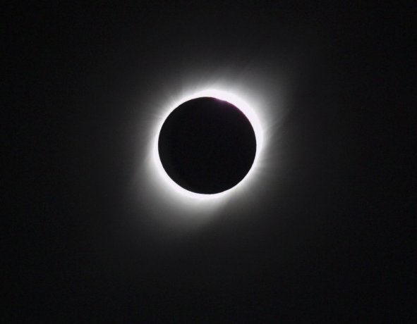 0036776719