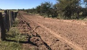 14047_img-20260205-wa0044