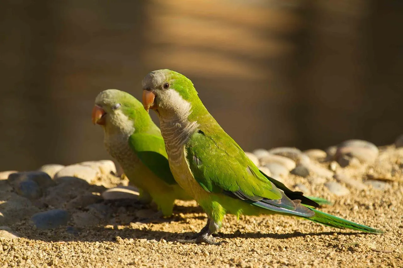 126247_img-20260206-wa0058