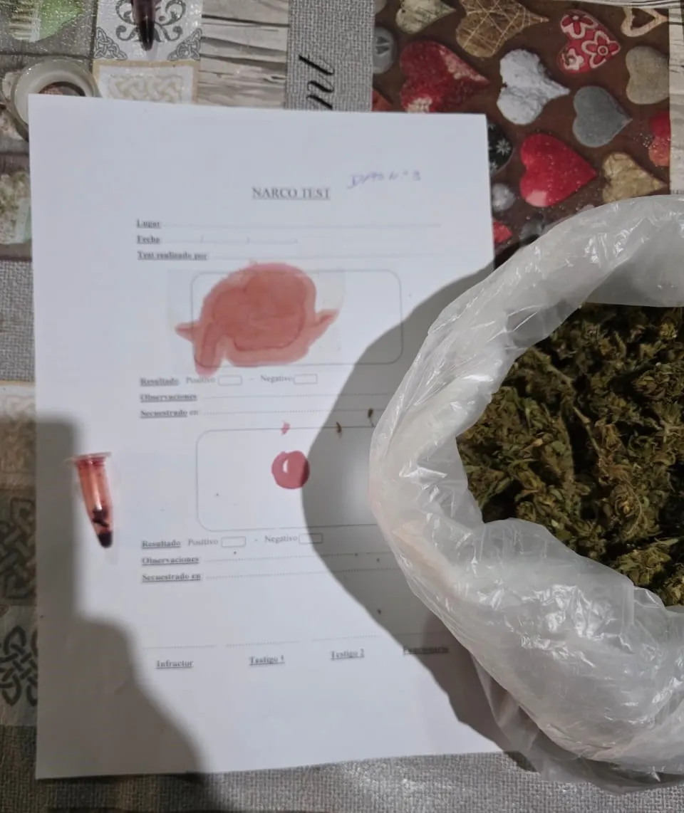 136908_whatsapp-image-2026-02-12-at-11.47.16