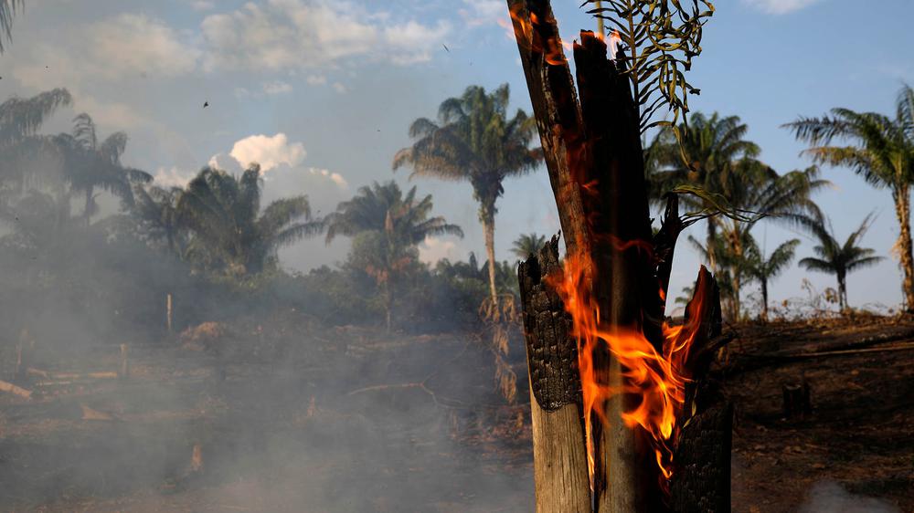 2019-08-20T235354Z_1049230607_RC1646833A90_RTRMADP_3_BRAZIL-ENVIRONMENT-WILDFIRES