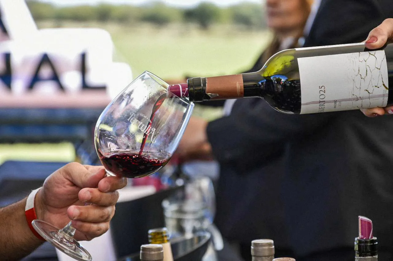 108904_whatsapp-image-2025-04-28-at-08.52.31--1-