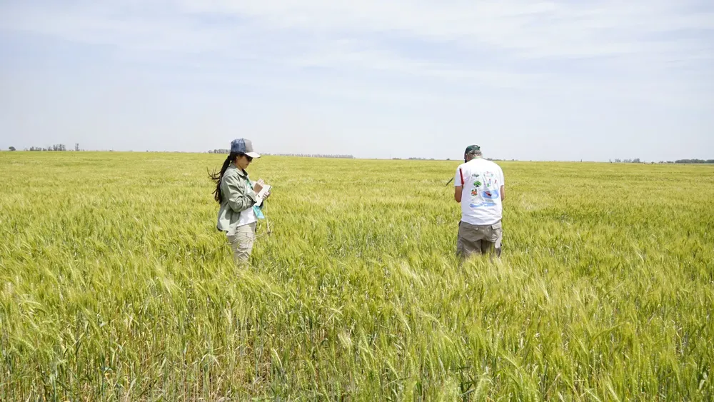 474156_img-20260117-wa0044