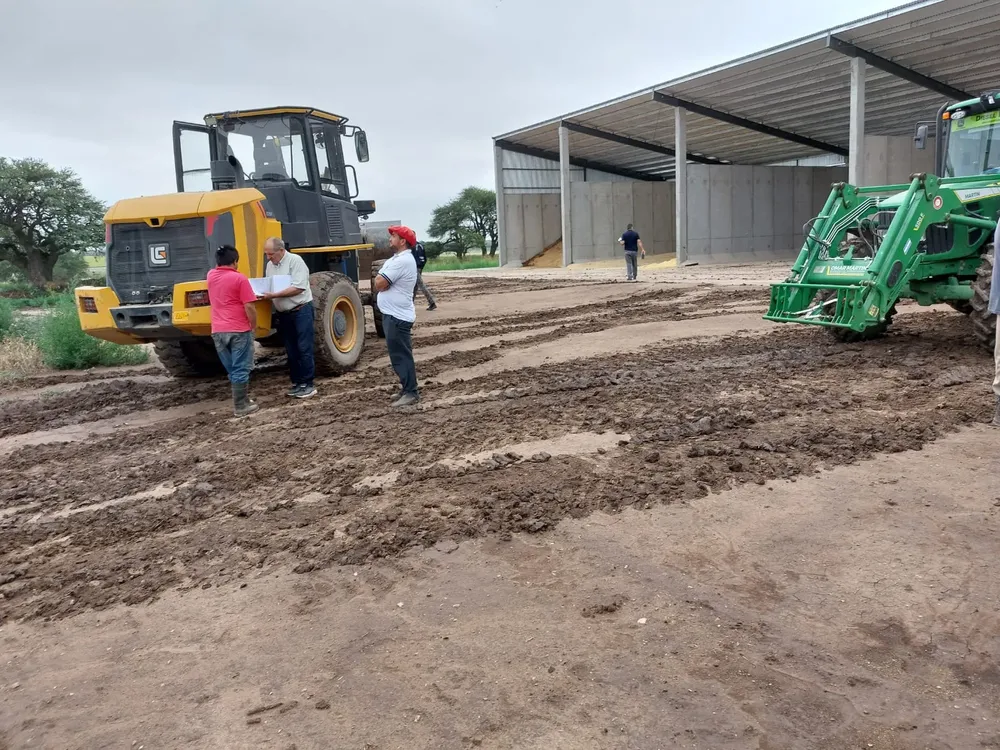 359979_whatsapp-image-2025-01-15-at-10.14.24--1-