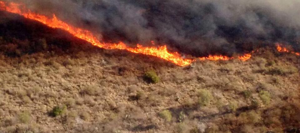 incendios-cordoba