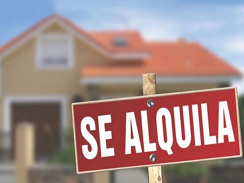 alquiler17