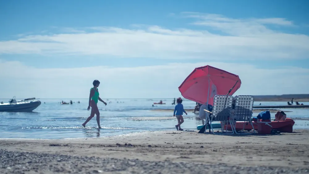 235730_img-20260117-wa0085