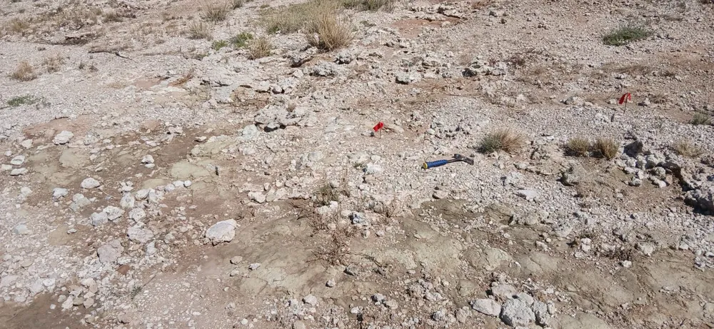 341473_whatsapp-image-2026-04-07-at-07.56.42