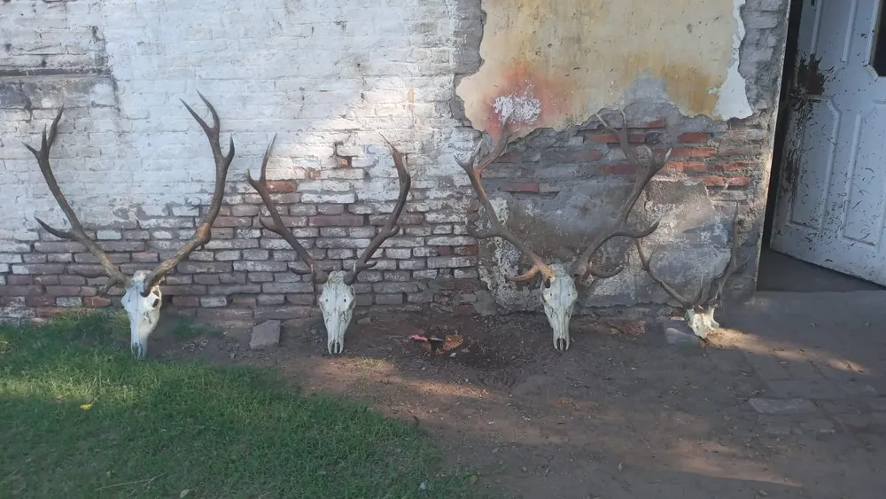 197058_whatsapp-image-2026-04-07-at-09.46.50--1-