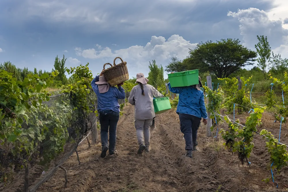 23273790_pichi-huinca--1-