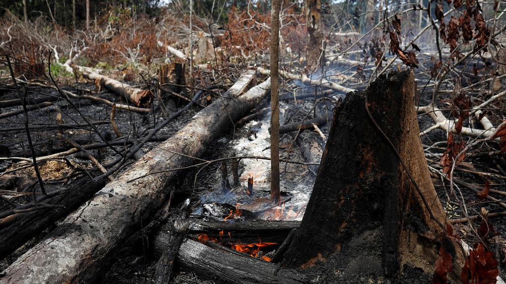 2019-08-21T223432Z_1609306620_RC149D18BD60_RTRMADP_3_BRAZIL-ENVIRONMENT-WILDFIRES