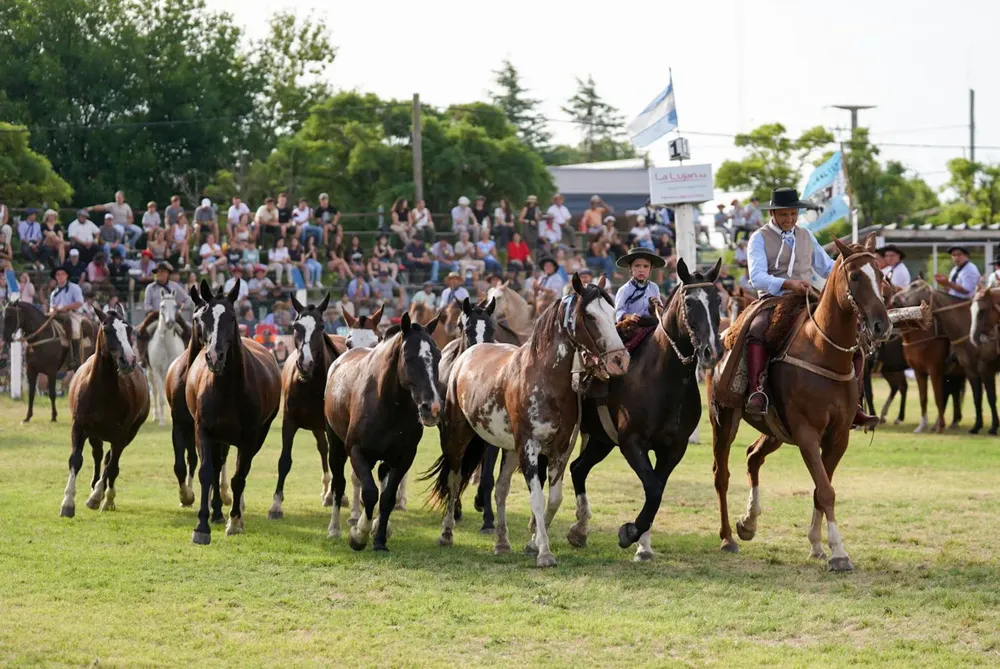 248759_img-20260201-wa0060