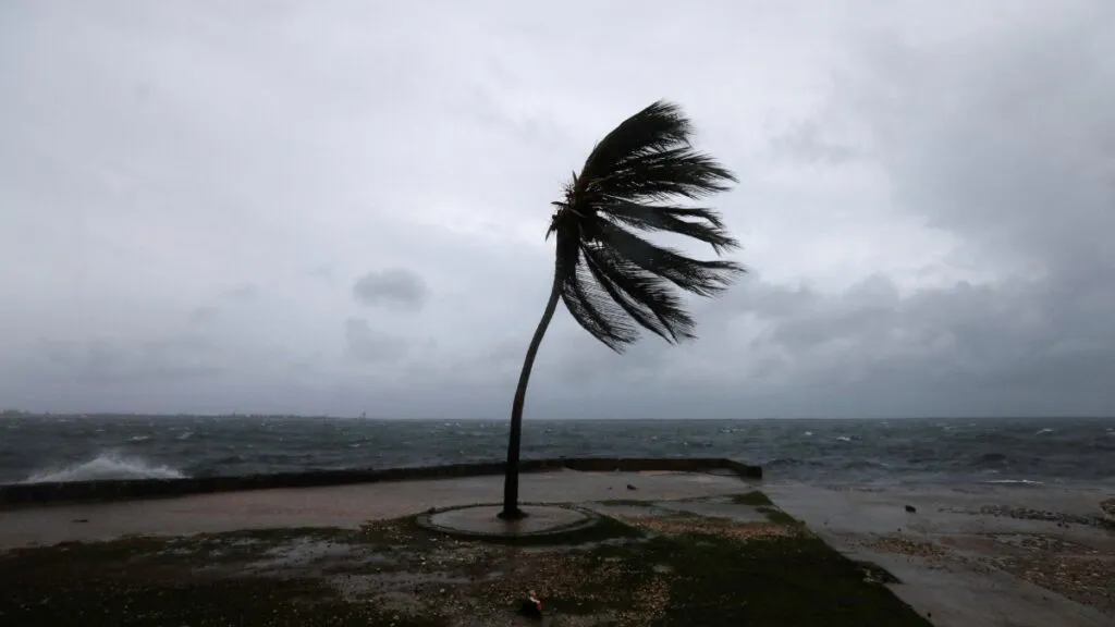 melissa-183452-1024x576