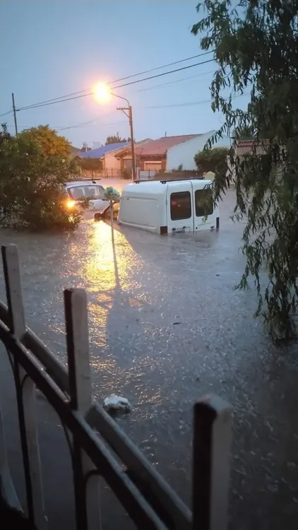 f768x1-1720719_1720846_5050