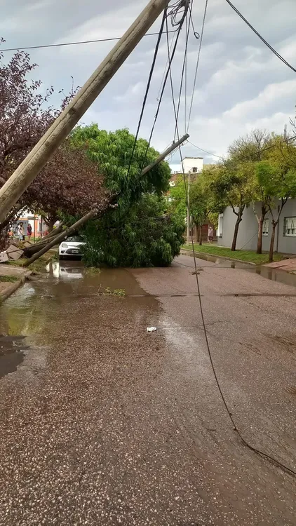 temporal13