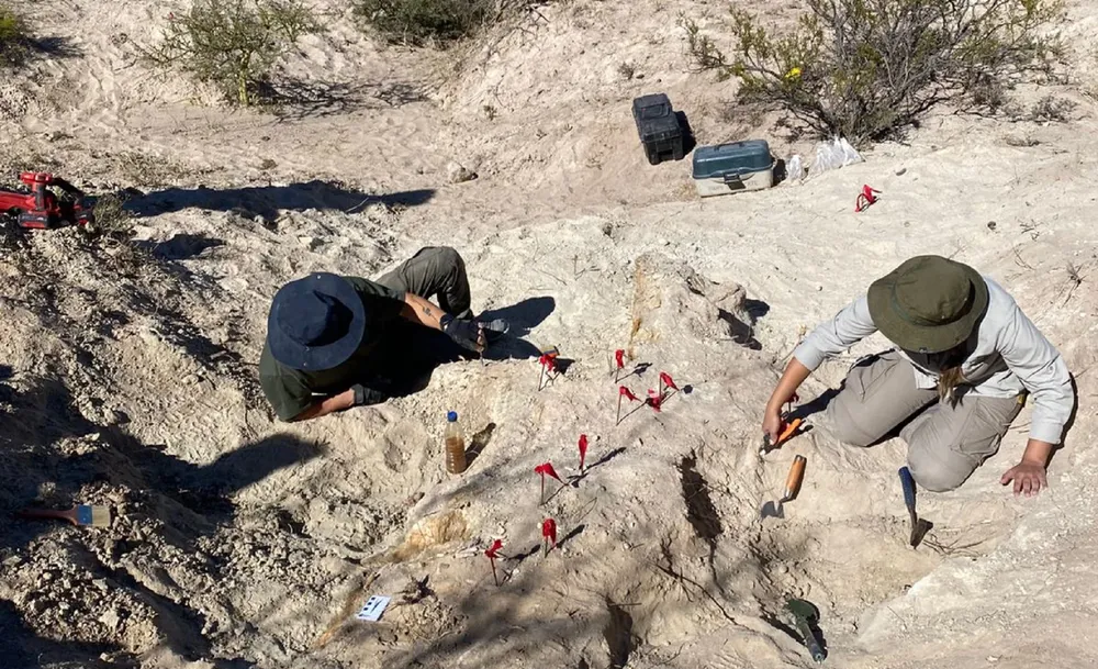 959883_whatsapp-image-2026-03-18-at-11.35.40