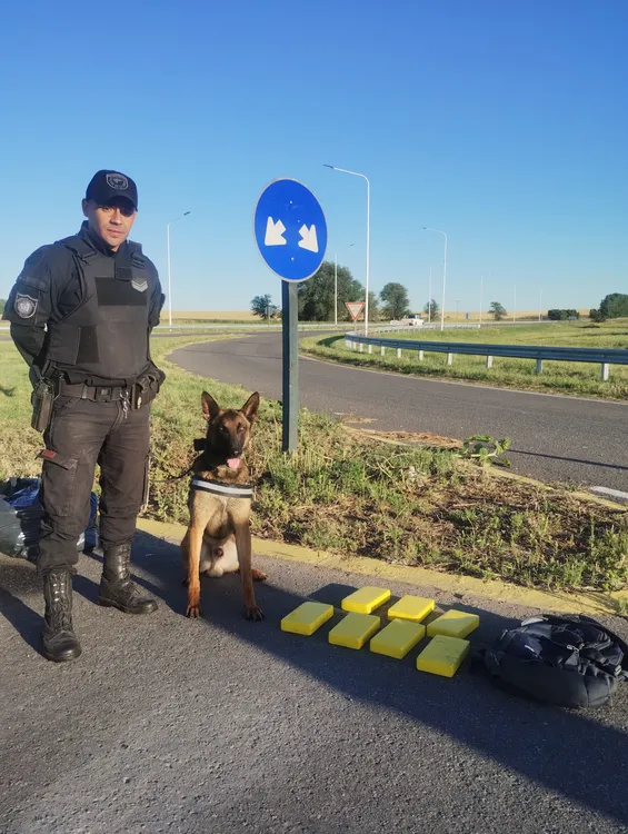 1663007_96973bdd-f7d6-4ece-b546-f1445b3348e5