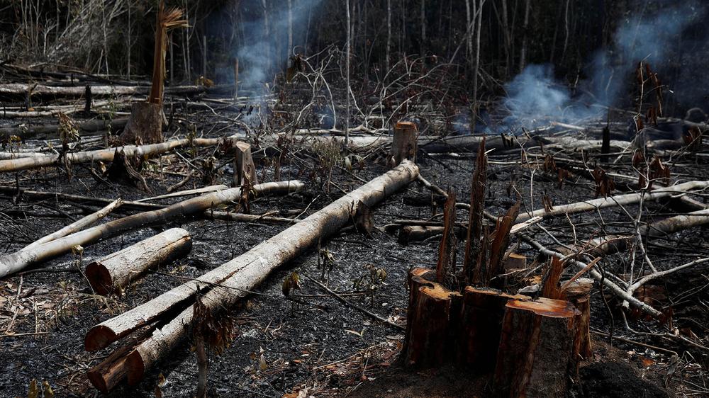 2019-08-21T000000Z_129104495_RC16FB0DFD00_RTRMADP_3_BRAZIL-ENVIRONMENT-WILDFIRES