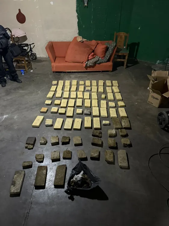 228523_whatsapp-image-2025-08-05-at-17.45.53--1-