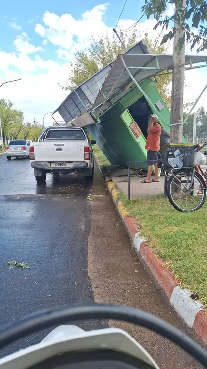 temporal14