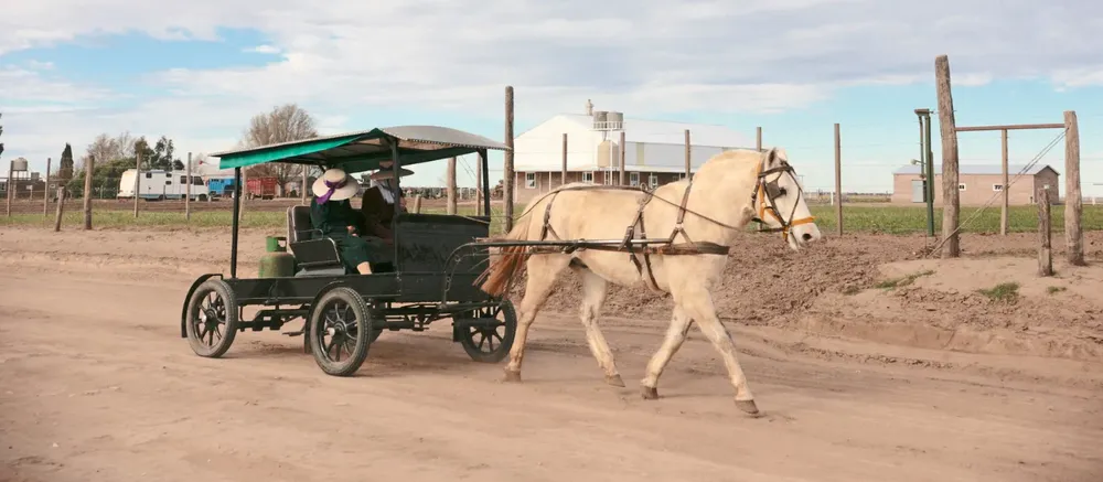 277482_8d4c0c01-cf80-45d9-ab11-026a1655aa2a