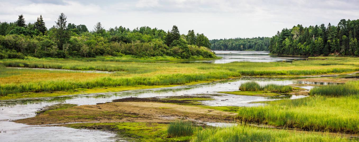 dia-mundial-humedales-2019 (1)