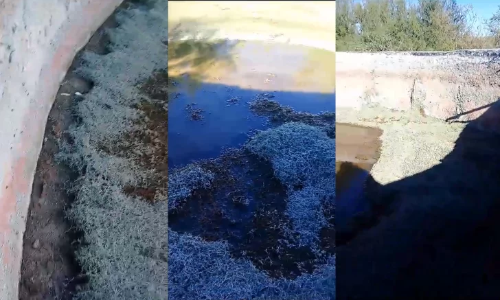 TANQUE-AUSTRALIANO-VACIO-728x437