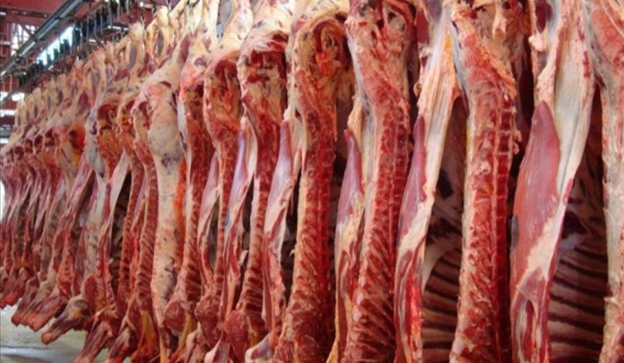 carne-hueso43549eee