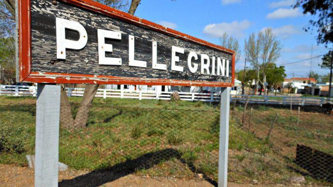 PELLEGRINI-678x381