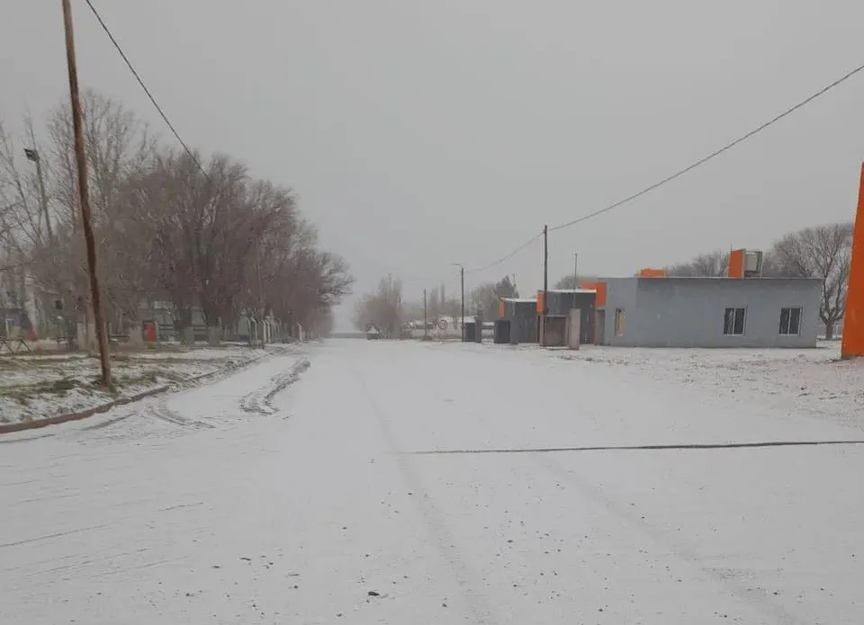 lahumadanieve20255536