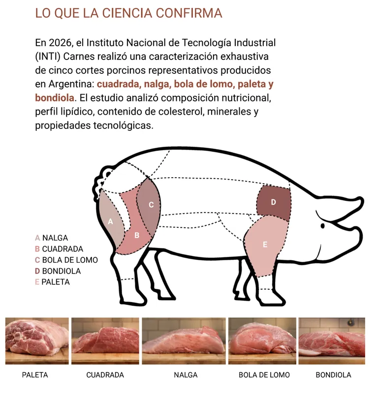 los-cortes-carne-porcina-que-se-analizaron-el-estudio