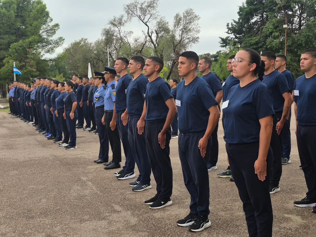 196622_whatsapp-image-2026-03-10-at-08.24.57