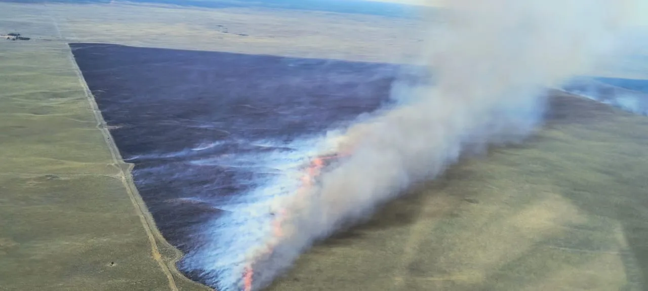 58902_img-20251212-wa0125