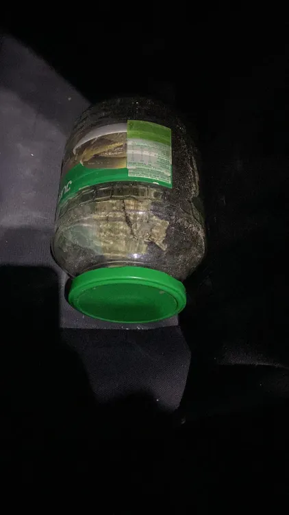 126408_d307dc59-4c2d-4ae0-9300-08b8e032dffd