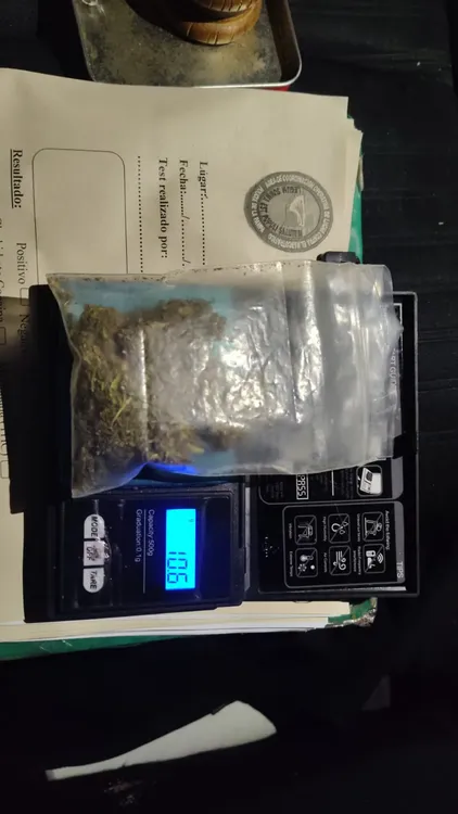 110550_img-20251212-wa0117