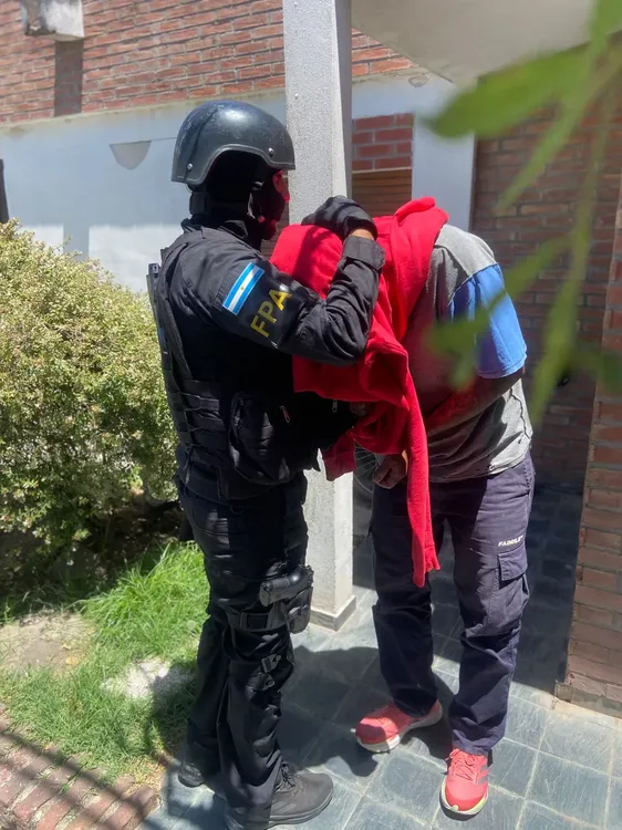 305200_whatsapp-image-2026-02-12-at-11.47.18