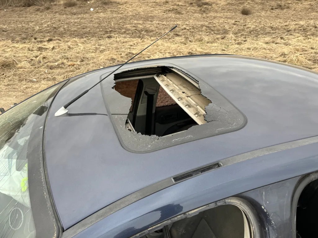 multimedia.normal.a1ebf191abb26900.Q0hPUVVFIERJVFogNyAoRklMRW1pbmltaXplcilfbm9ybWFsLndlYnA=